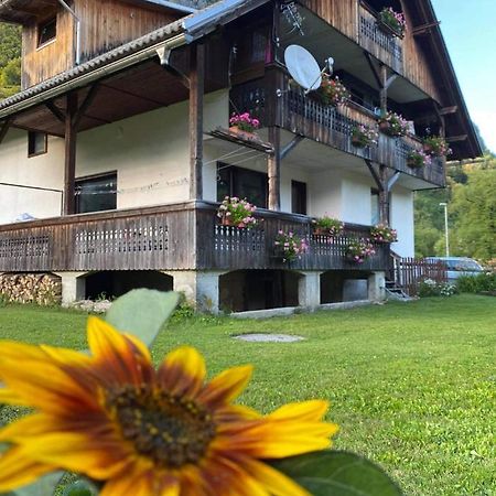 Apartment V&N, Lake Bohinj Dış mekan fotoğraf